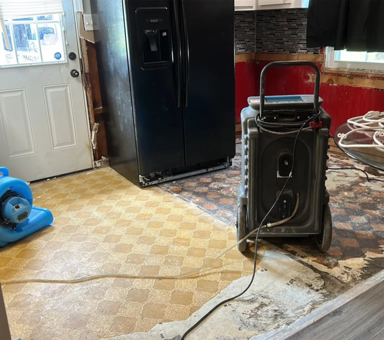 Emergency Water Damage Cleanup: What to Do Before the Professionals Arrive